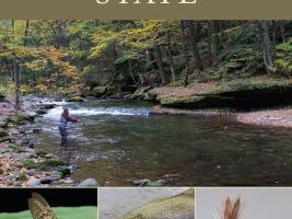 Fly Fishing Guide to New York State by Mike Valla