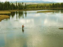 Fly-Fishing Guide to the Henry's Fork by Mike Lawson