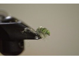 Fly Tying Kit - Mean Green Scud
