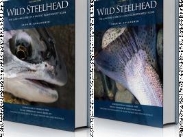 Wild Steelhead (2 Volume Set) - The Lure and Lore of a Pacific Northwest Icon by Sean Gallagher