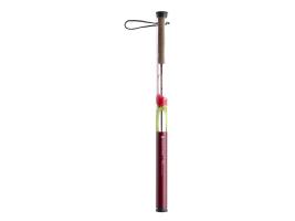 Redington Form Game Rod