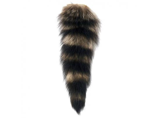 Raccoon Tail