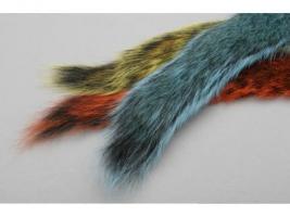 Gray Squirrel Tail