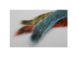 Gray Squirrel Tail