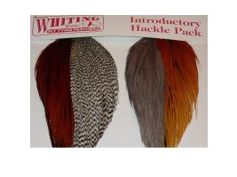 Whiting Introductory Hackle Pack