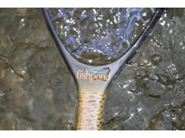 Fishpond Nomad Canyon Net