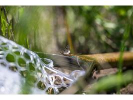 Fishpond Nomad Canyon Net